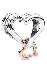alluring family is love sterling silver baby charm